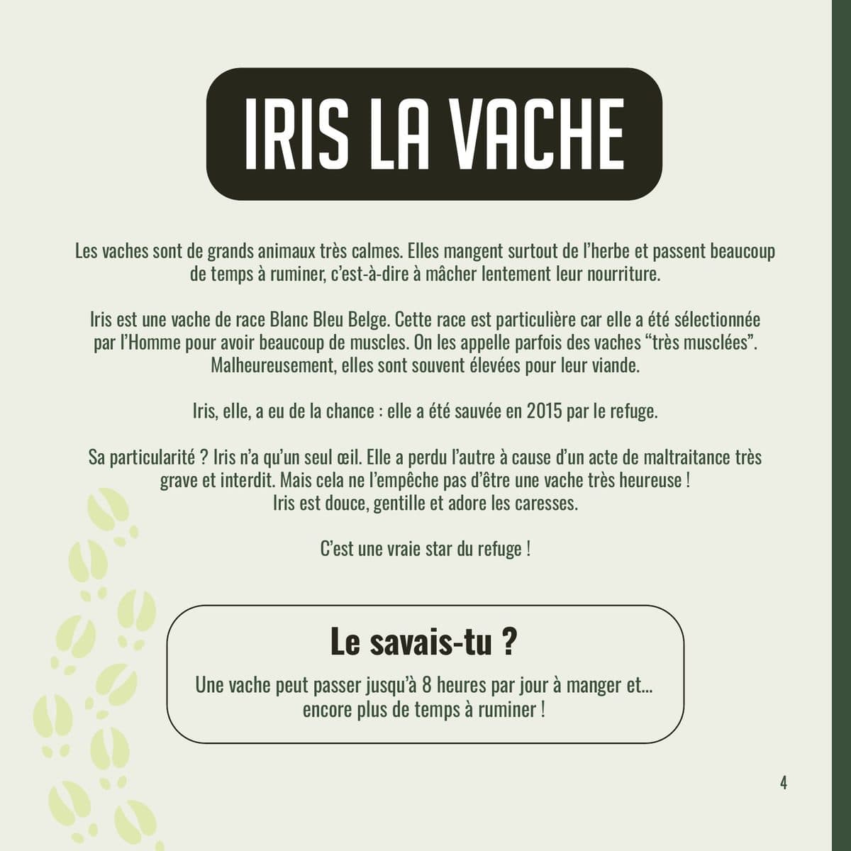 Fiche d’Iris la vache : histoire et « Le savais-tu ? »
