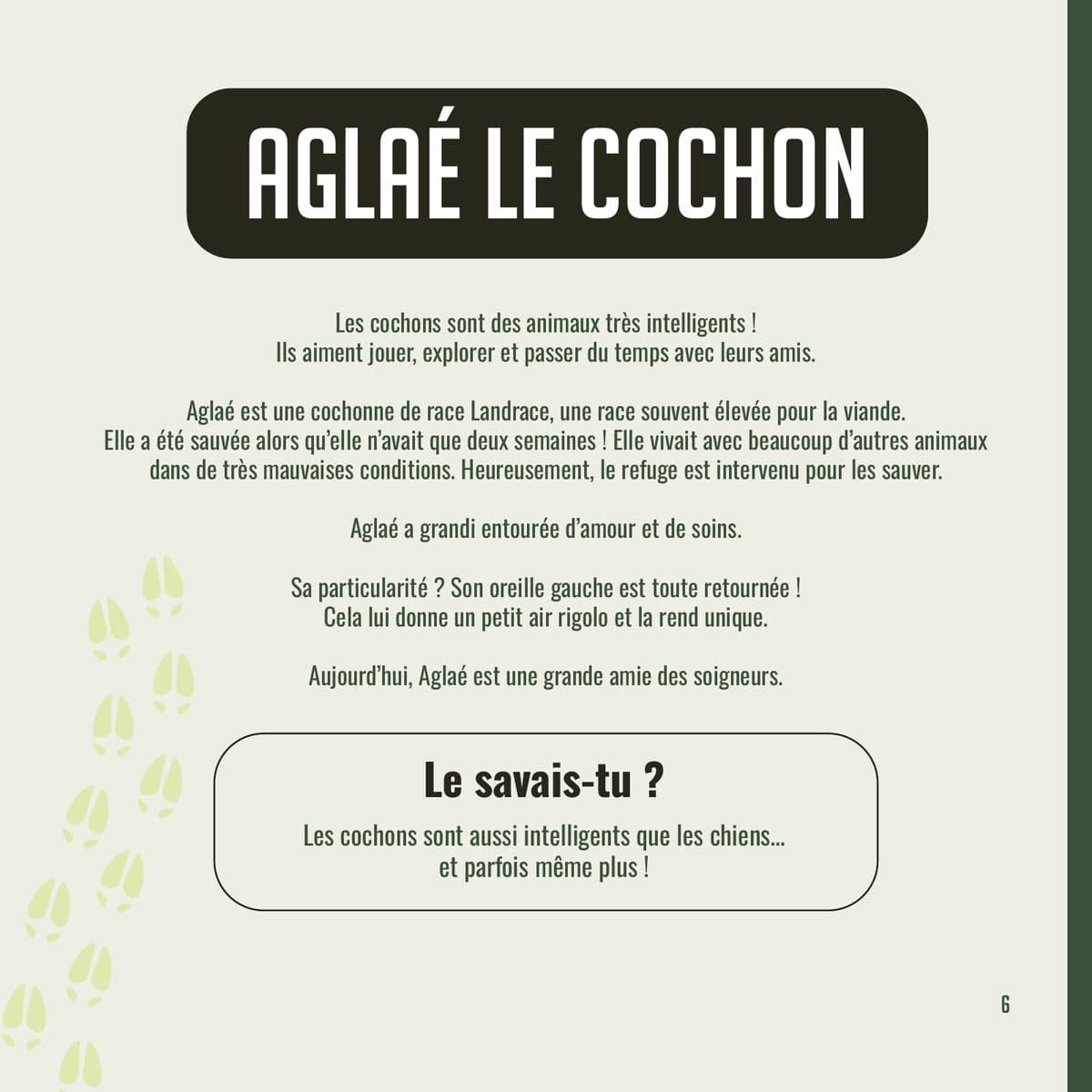 Fiche d’Aglaé le cochon