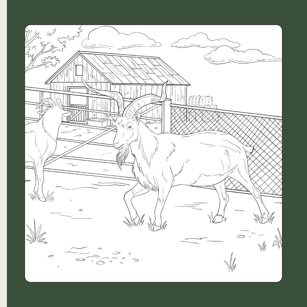 Dessin au trait d’Auguste le bouc à colorier