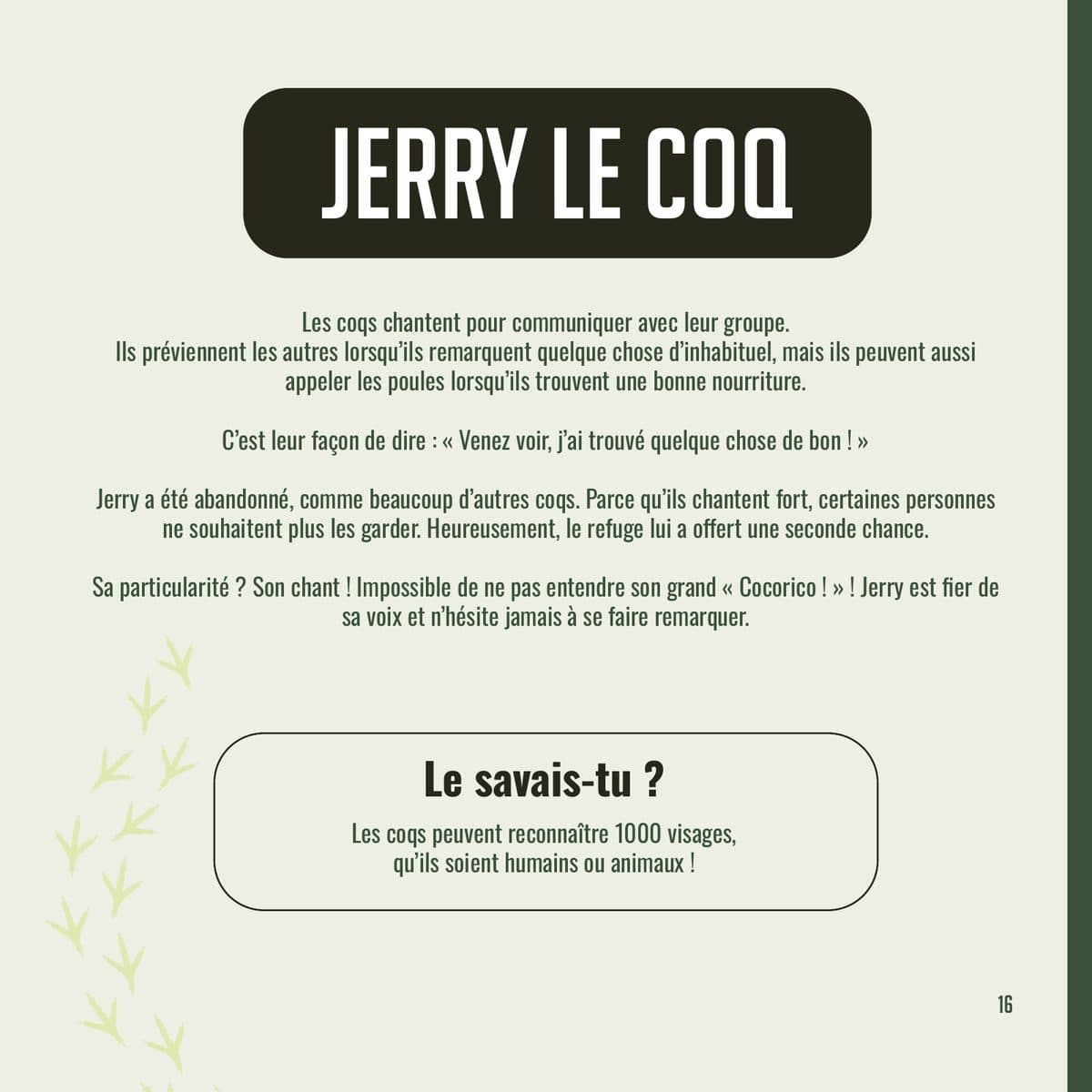Fiche de Jerry le coq