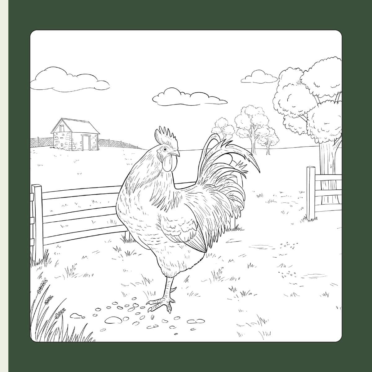 Dessin au trait de Jerry le coq à colorier